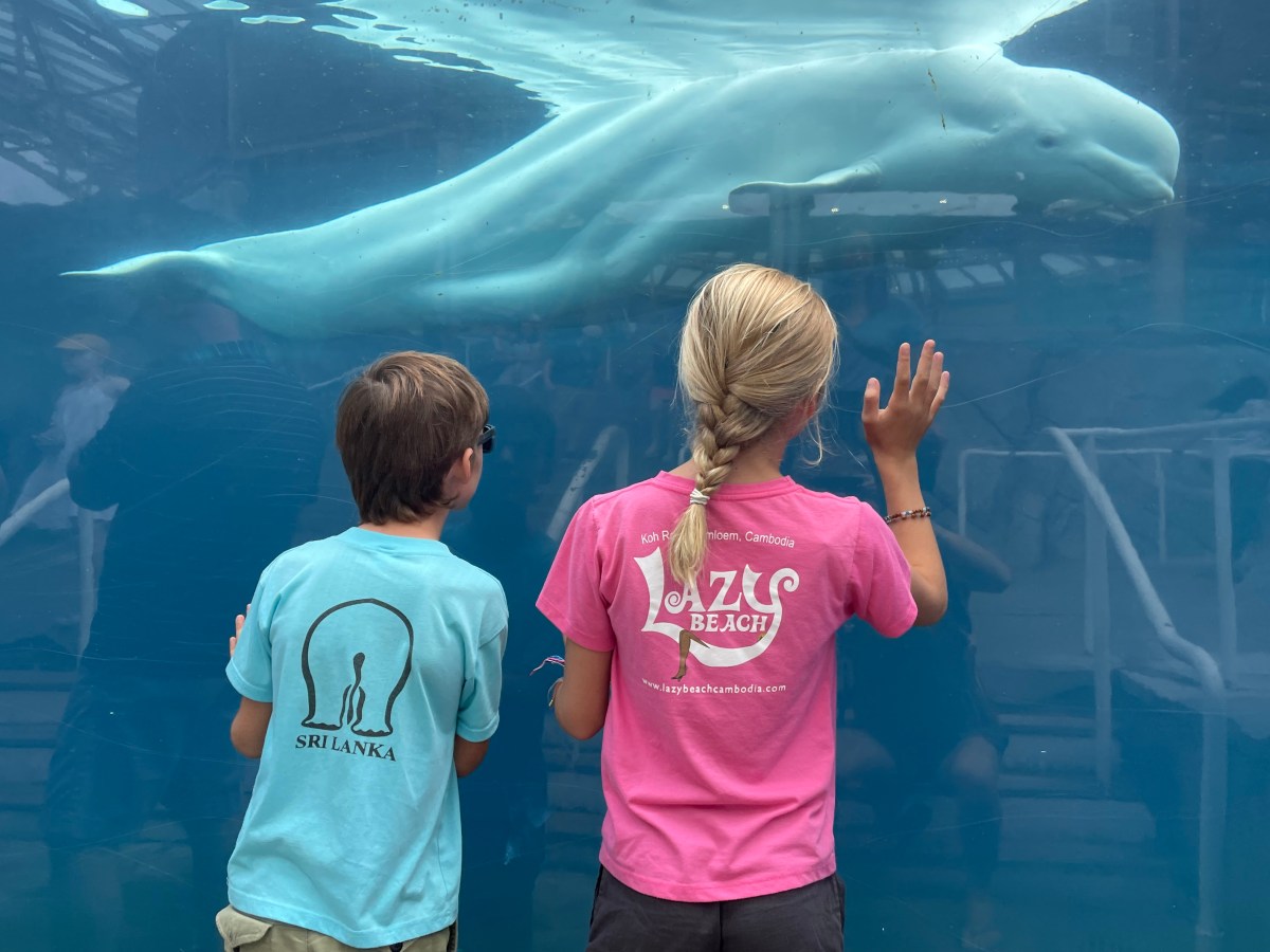 Lang zullen ze&nbsp;leven!