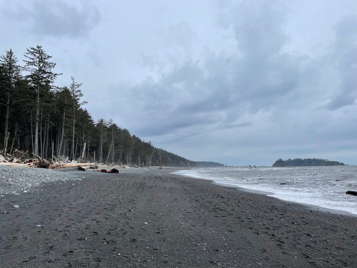 When the Land Meets the&nbsp;Sea